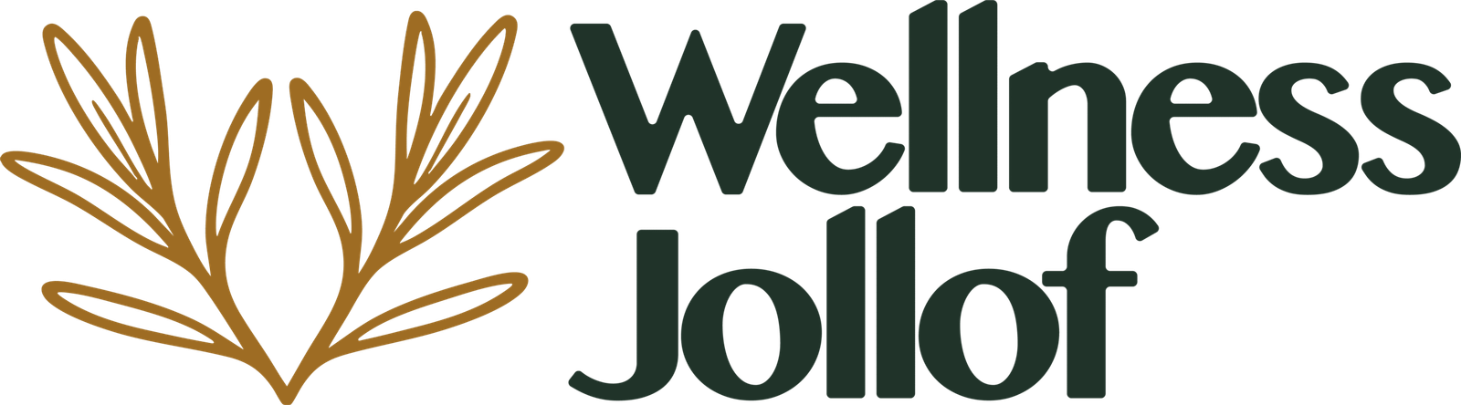 Wellness Jollof